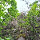 용천약수 이미지