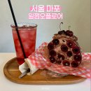 플로어 - 6514 | 홍대 연남동 롤 크레이프 맛집 일쩜오플로어 내돈내산 솔직 후기