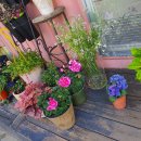 안동지물포