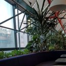 강남-258 이미지