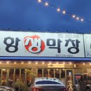 백촌포항생막창
