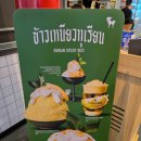 에프터유 | [방콕] 스쿰빗 야속역 터미널21 망고빙수 스티키 라이스 '에프터유' 위치, 시간, 솔직후기