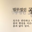 법무법인세지원