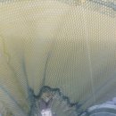 동막낚시터 이미지