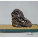 대흥면011 Daum카페