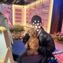 펫 파라다이스(pet paradise) | 🐾 MCM 펫 파라다이스 후기 ✨ 압구정 MCM HAUS에서 즐긴 반려견 철수의 퍼스널컬러 &amp; 캐리커쳐 체험기 💛