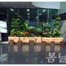 에이스팩주식회사 네이버블로그