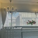 서초중앙로24길1-15 이미지