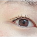 아이스킨 이미지