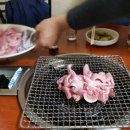 바다속친구들 이미지