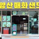 양산매화샌드