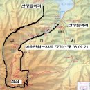 금오농협주유소 이미지