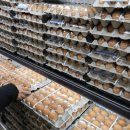 국영축산 이미지