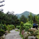 솔향수목원(암석원) 이미지