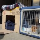 예쁜이PC 이미지