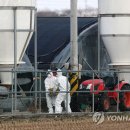 나주2농장 이미지