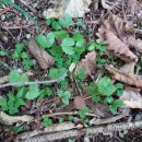 큰골짜기농장 이미지