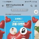 폴햄폴햄키즈 네이버블로그