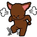 유박사칼국수 이미지