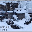 고향산천 이미지
