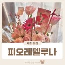 피오레델루나 | 피오레델루나 서초 꽃집 어버이날 카네이션 선물