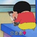 젤리조아 이미지