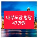 대부도토지 매매 - 마카오를 꿈꾸는 대부도 이미지