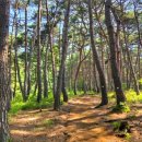 자하곡약수터 이미지