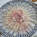 거금도휴게소 | [26/01/04] 거금도에서