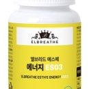 엘브리드 이미지