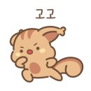 섬진강민물장어 이미지