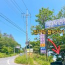[공지] 경주 아이들과 감포해수욕장 문무대왕릉 해변에서 낚시,물놀이