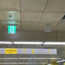 가락시장 횟집 추천 보물섬수산 방어 후기