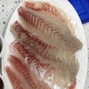 낚고락고 이미지