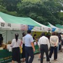 서울고등법원 이미지