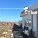신촌느긋 | 제주 함덕 근처 숙소 신촌느긋 조천 독채 자쿠지 4인 펜션