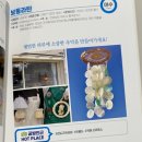 일상을 채우는 라탄공예 | 2024 전라남도 공예체험 여행 / 보통라탄