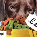 Luxury Dog 이미지