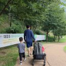 체육공원(수세식) | 대구 아기랑 무료 물놀이장 수성구 대흥동 유아숲체험원 주차 및 준비물 꿀팁