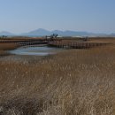 낙동강변 이미지