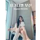 [국내 호캉스] 시그니엘 부산 호텔 오션뷰 객실,웰컴 드링크,수영장, 살롱드시그니엘,룸서비스