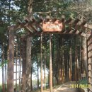 아미초등학교 이미지