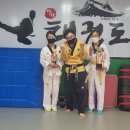 야학태권도장 이미지