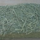 덕용농장 이미지