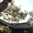 죽동 이미지