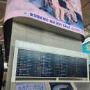 여름 대만은 망고다.