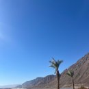 사우디에너지(주) | [이집트 여행] 아카바-타바 이동, 샤름 엘 셰이크 호캉스, 라스 모하메드 섬 데일리투어 (스노쿨링)