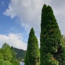 나주 산림자원연구소의 여름 이미지