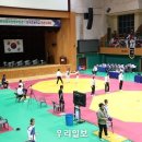 금빛태권도 이미지