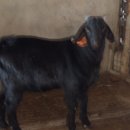 청안농장 이미지